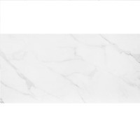 Porcelanato Acetinado Mont Blanc C 60x120cm Eliane