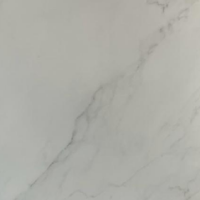 Porcelanato Acetinado Saturno Branco A 90x90cm Eliane