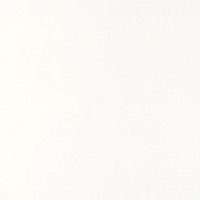 Porcelanato Polido Sibéria C 62,5x62,5cm Elizabeth