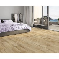 pavia-plus-exemplojpg