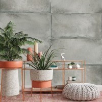 concretissimo-fundo-1-jpg