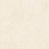 Piso Cerâmico Palmi Plus 61x61cm Cecafi