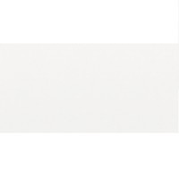 Revestimento de Parede White Frost Plus Acetinado 31x60cm Angelgres