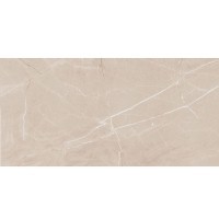 Porcelanato Polido Accord C 50x101cm Elizabeth