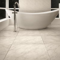 fundo-palmas-1-1-1-1-png