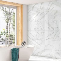 camerotta-plus-exemplojpg