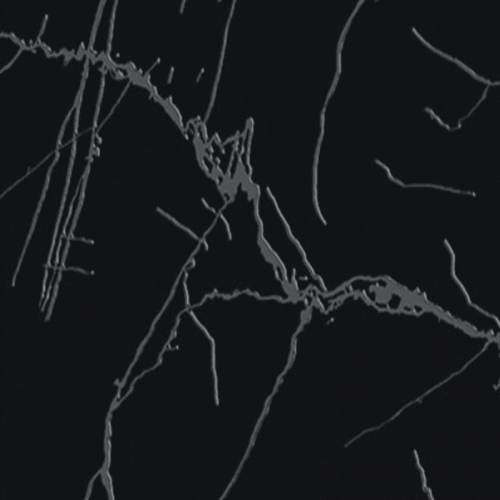 Revestimento de Parede Turim Black A 34x60cm Formigres